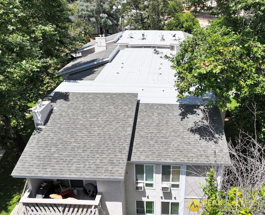 Roof project — Patrick Lanahan